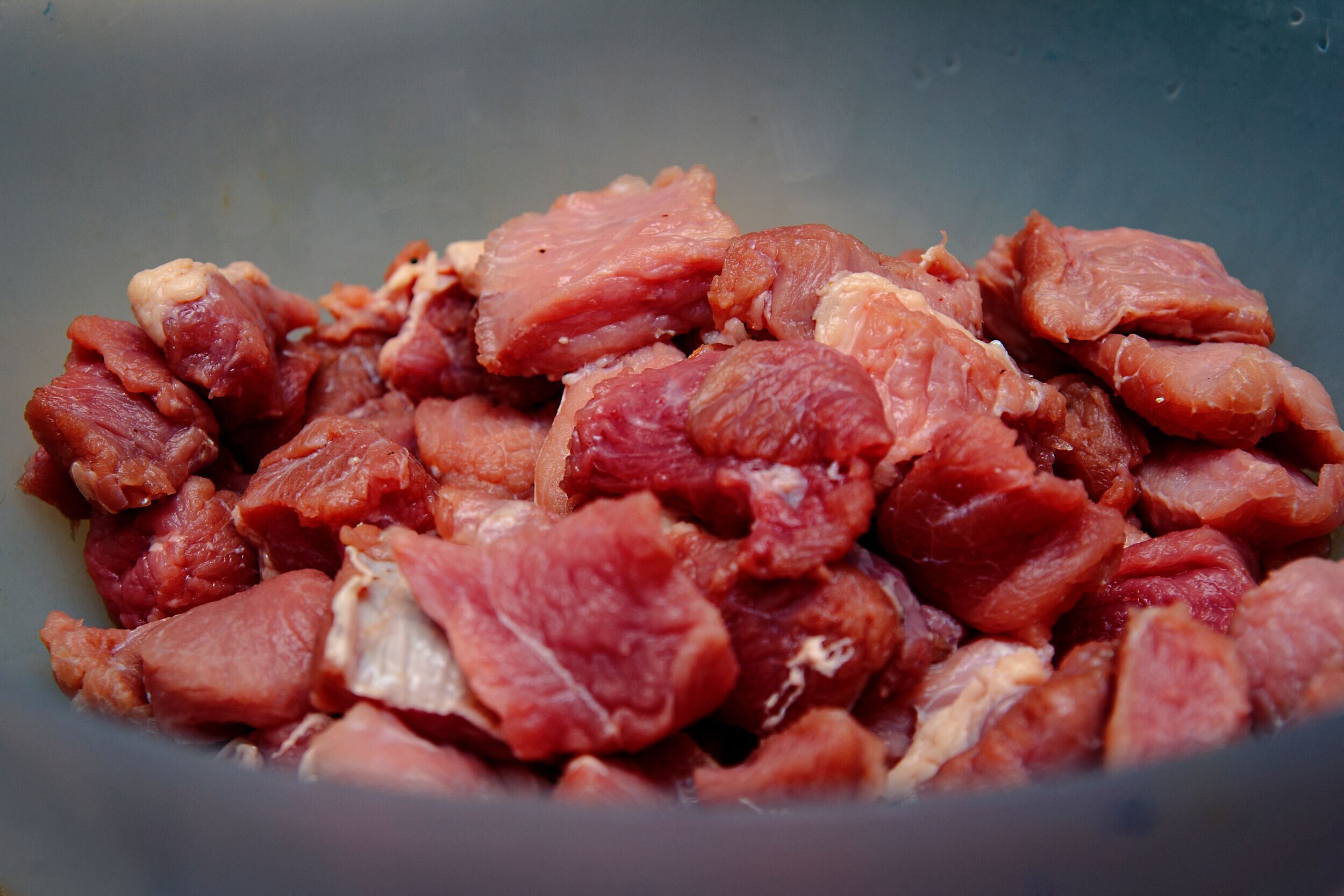 raw wholesome dog food - photo 1600180786608 28d06391d25c 2500x1667 1b9c98bf