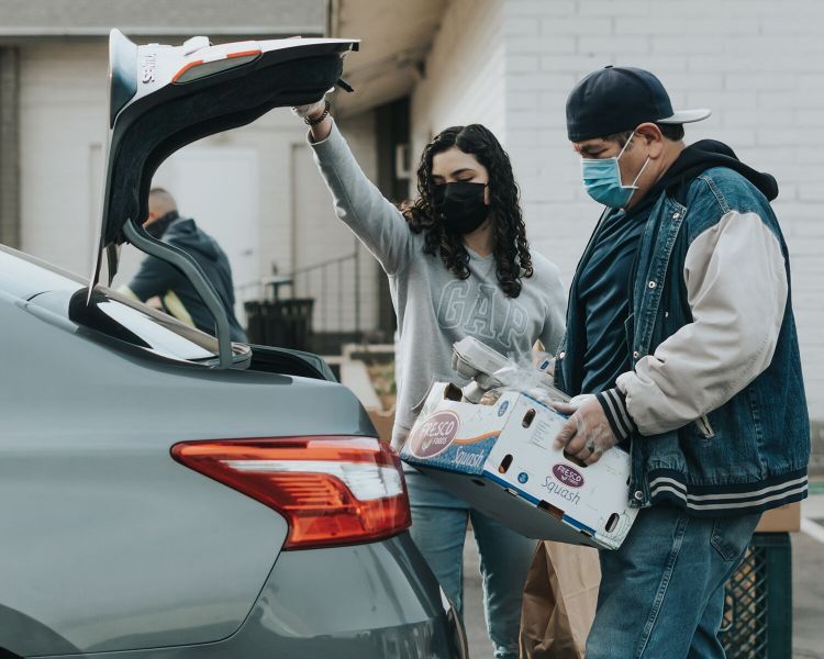 raw wholesome dog food - home 4 2 1500x1500 47b94e39